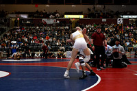 TED_1477