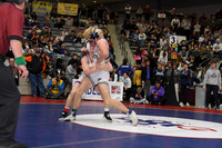 MW5_0253