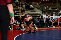 TED_1808