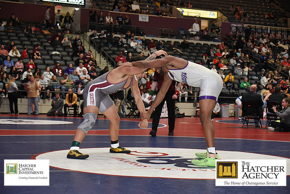 CJH_6230