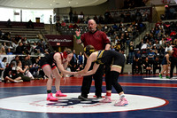 TED_0684
