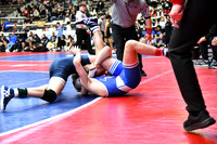 lakeside v van buren