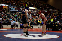 ROSE v SHCH