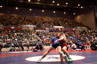 RAD52919
