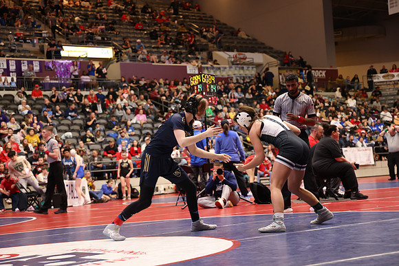 RAD53781