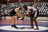 Ham v Hall