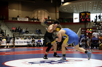 MtnH v Ham