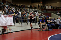 GreenB v Rus Champ