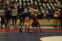 Harb v Rog