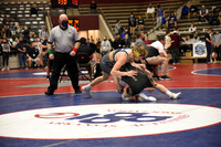 Shil v Rob