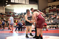 Bauxite vs Gentry