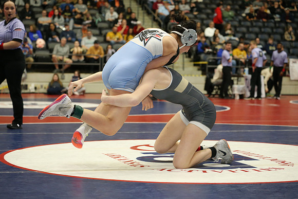DALE0036