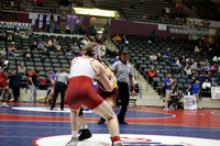 DALE0567