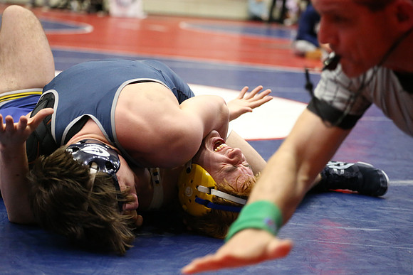 DALE0081