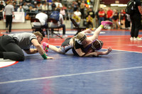 DALE0716