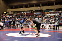 Pulaski Academy vs Berryville