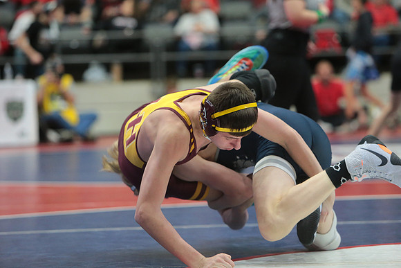 DALE2471