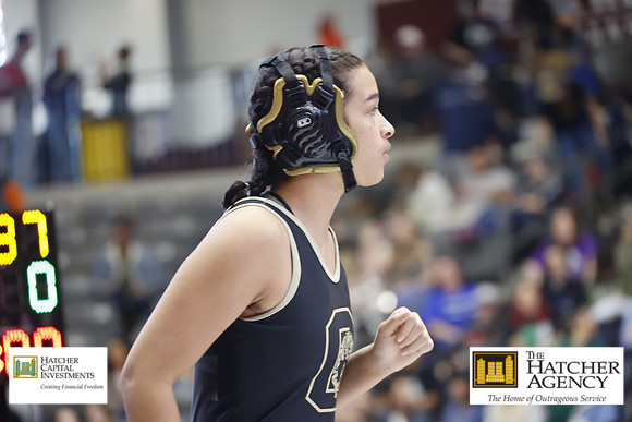 _TIB0647