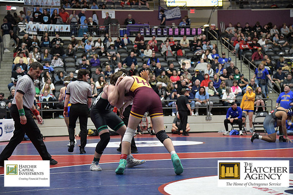 DSC_7879