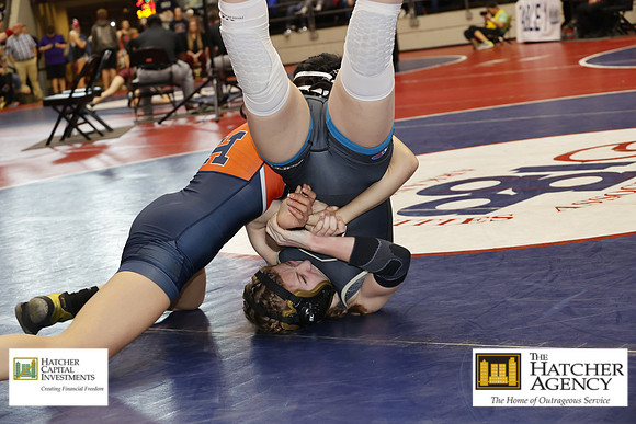 _TIB0229