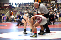 Springdale vs Harber