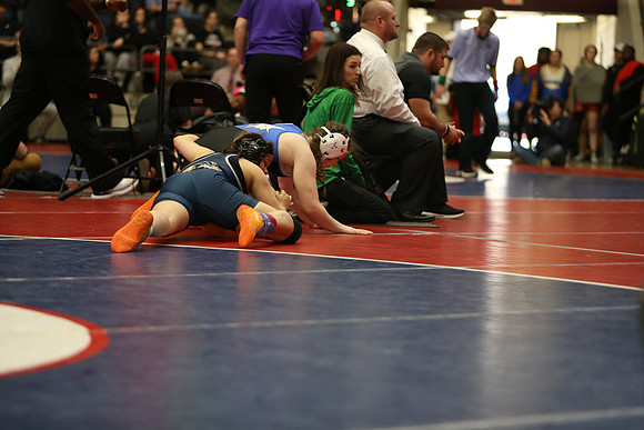 DALE8555