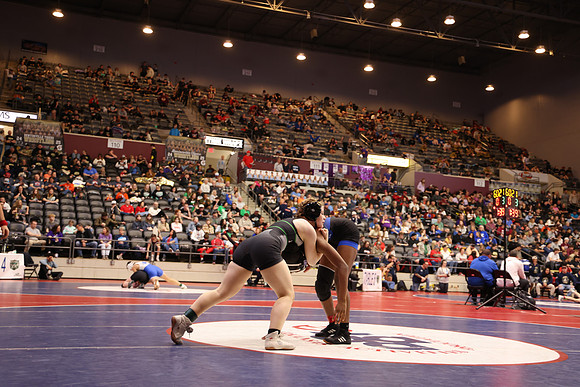 RAD52198