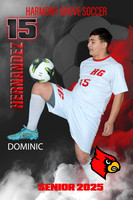 dominic hernandez