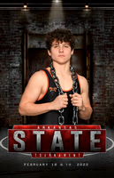Individual Posters