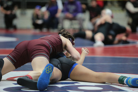 DALE9153