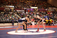 Greenwood vs Beebe