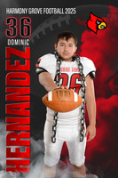 Dominic Hernandez copy 2