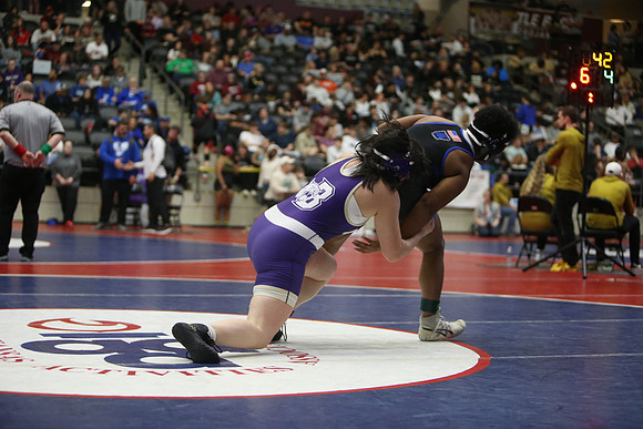 DALE1029