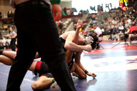527A9278