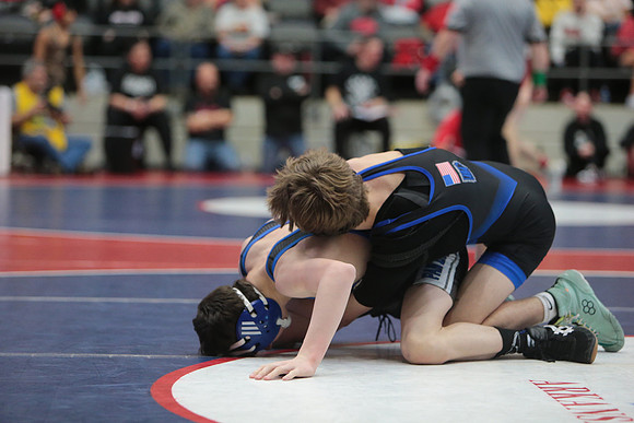 DALE2177