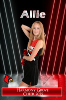 Allie Wallis copy
