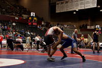 Bryant v Springdale