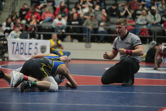 DALE9520