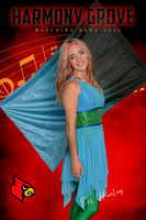 bri flag