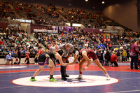 Searcy v CACS
