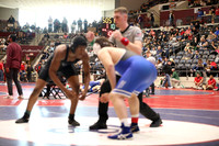 Rogers v Bryant