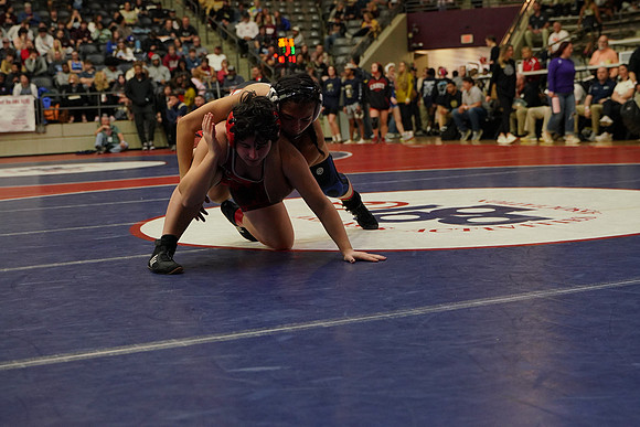 DSC08294