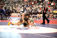 527A9449