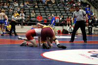 DALE0557