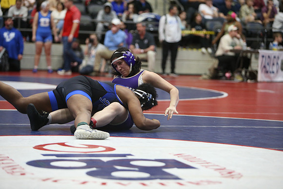 DALE1006