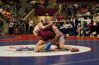 Lake Hamilton v BeeBe