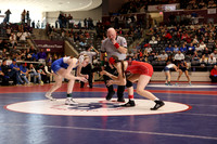 Cabot v Rogers